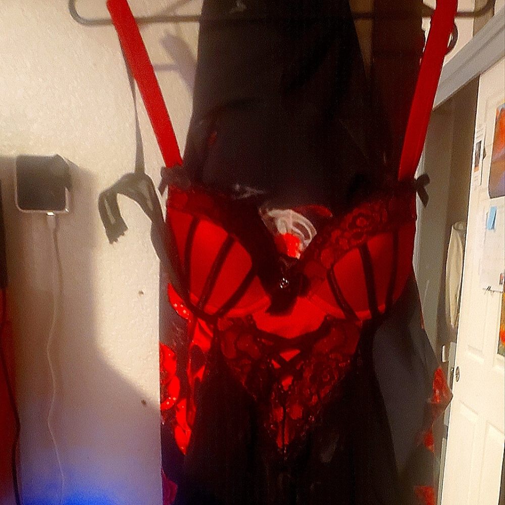 Blk and red teddy